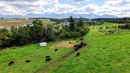 スープカレー びえい牛 380g×4セット ファームズ千代田|スープカレー [021-22]