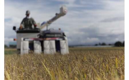 皇室献上米 ななつぼし  (10kg)【令和7年産 予約受付】北海道 ななつぼし [029-16]