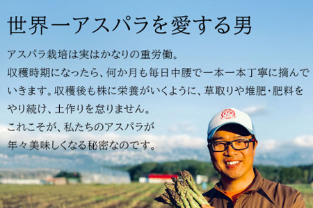 【2026年産先行予約】北海道 美瑛町幻のアスパラ 本山農場のラスノーブル（グリーンアスパラ）2Lサイズ 1kg ≪２回便≫ | アスパラ [034-16]