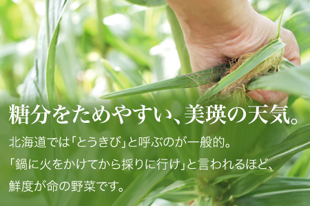 とうもろこし ≪令和8年産予約受付8≫ スイートコーン(白12本)  北海道とうもろこし  [016-88]