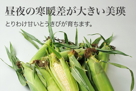 とうもろこし ≪令和8年産予約受付8≫ スイートコーン(白12本)  北海道とうもろこし  [016-88]