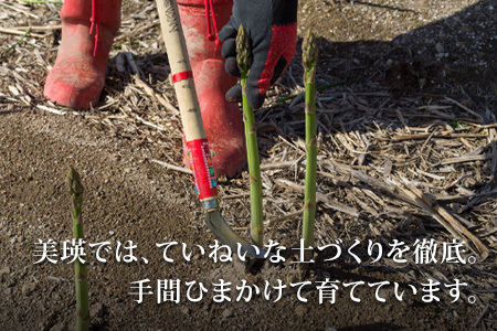 【令和8年産先行予約】美瑛選果　グリーンアスパラ2Lサイズ 1kg | アスパラ[018-62]