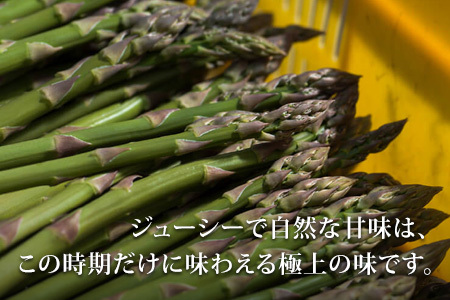 【令和8年産先行予約】美瑛選果　グリーンアスパラ2Lサイズ 2kg | アスパラ [031-10]