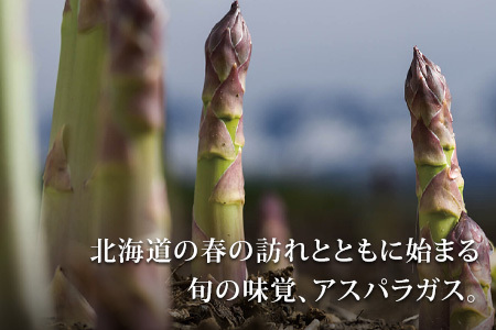 【令和8年産先行予約】美瑛選果　グリーンアスパラM・L混合 1kg | アスパラ [013-90]