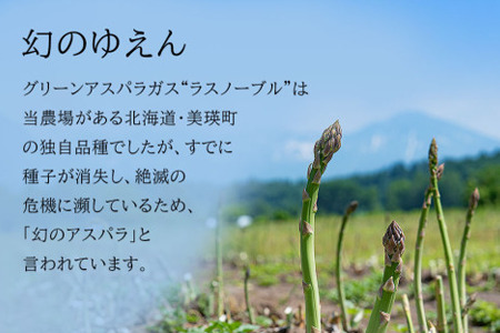 【2026年産先行予約】北海道 美瑛町幻のアスパラ 本山農場のラスノーブル（グリーンアスパラ）≪訳あり≫ 2kg ≪2回便≫  [038-12]