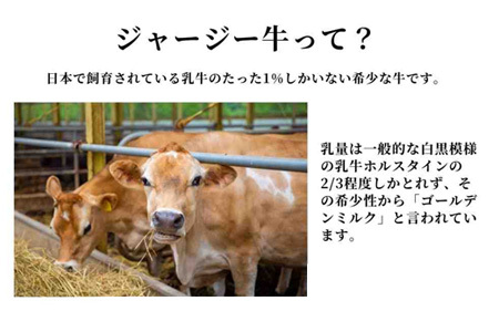 ファームズ千代田　ジャージーバター100g×5個セット | 無塩 無塩バター 減塩 ジャージー牛 北海道 無添加  [019-53]