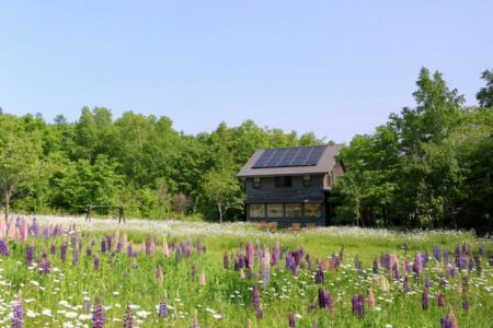 リッカロッカ 美瑛小麦「ゆめちから」のこだわりパンつめあわせ | 国産小麦 パン 自家製 個包装 焼きたて 便利 グルメ 高リピート 食べ比べ 詰め合わせ 朝食 おやつ ぱん 食品[019-71]