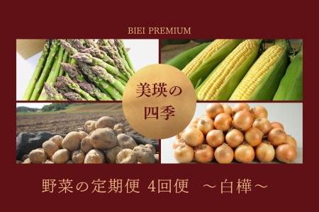 野菜定期便 白樺 4回便【令和8年産予約受付】旬 野菜 詰め合わせ セット [036-46]