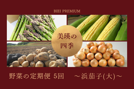 野菜定期便 5回便 浜茄子(大)  野菜【令和8年産予約受付】  [076-05]