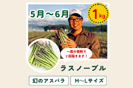 野菜定期便 5回便 【令和8年産予約受付】浜茄子 [049-04]