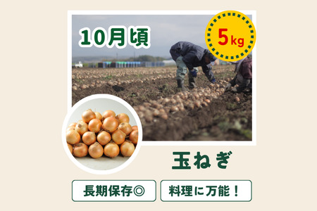 野菜定期便 5回便 【令和8年産予約受付】浜茄子 [049-04]