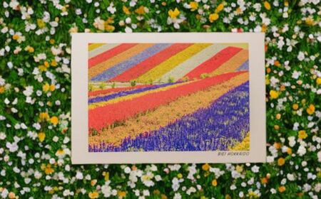 フォトカード 写真家 坪井 智洋 美瑛の風景 フォトカード 12枚セット | 美瑛 北海道 写真 雑貨 [006-21]