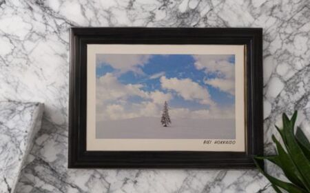 フォトカード 写真家 坪井 智洋 美瑛の風景 フォトカード 12枚セット | 美瑛 北海道 写真 雑貨 [006-21]