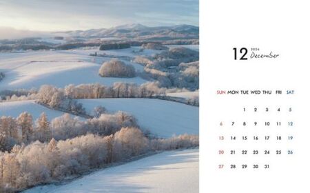 カレンダー 写真家 坪井 智洋 美瑛の風景 2026年卓上カレンダー | 美瑛 北海道 写真 雑貨 [006-22]