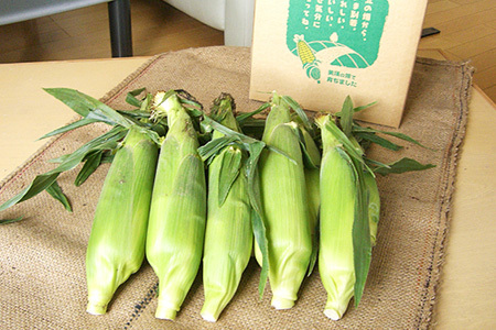 とうもろこし（ほしつぶコーン）８本【令和８年産予約受付！】黒木農場 | とうもろこし [009-32]