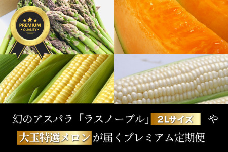 野菜定期便 唐松 3回便【令和8年産予約受付】 [052-12]