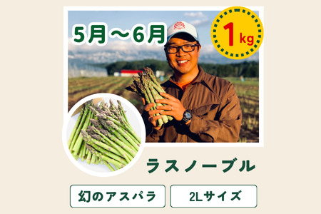野菜定期便 唐松 3回便【令和8年産予約受付】 [052-12]