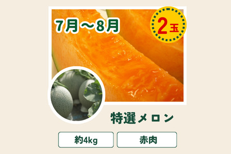 野菜定期便 唐松 3回便【令和8年産予約受付】 [052-12]