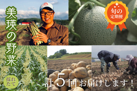 野菜 定期便 鈴蘭 5回便【令和8年産予約受付】  [058-04]