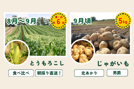 野菜 定期便 鈴蘭 5回便【令和8年産予約受付】  [058-04]