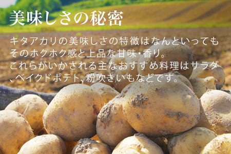 じゃがいも【令和８年産予約受付！】 北あかり10kg  じゃがいも  [010-214]