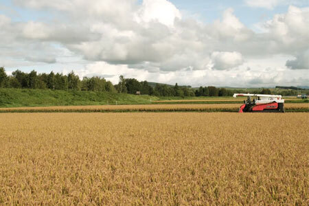 【先行予約 令和8年産 】 ゆめぴりか 5kg 皇室献上米 ゆめぴりか  [016-106]