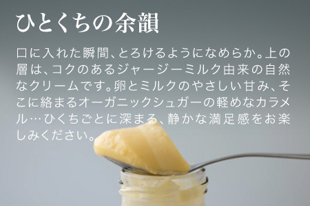 プリン 6本 フェルムラテール美瑛 スイーツ カスタードプリン 北海道  [012-116]