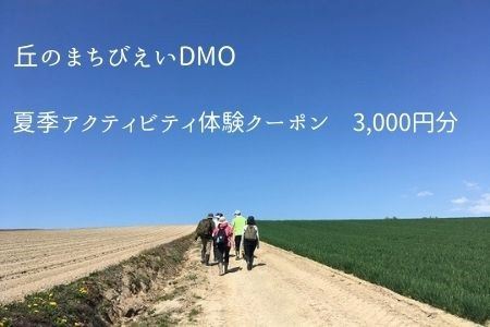 丘のまちびえいDMO　夏季アクティビティ体験クーポン3,000円| アクティビティ 美瑛町[010-147]