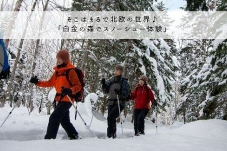 丘のまちびえいDMO　冬季アクティビティ体験クーポン3,000円 | アクティビティ 美瑛町[010-148]