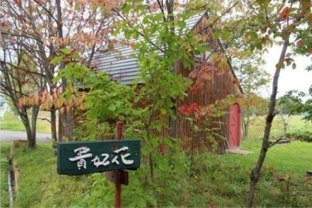 貴妃花　輪投げセット[026-16]