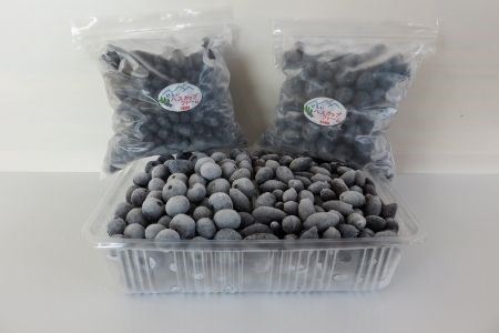 ハスカップ 冷凍  500g・冷凍 ブルーベリー 500g  | ブルーベリー 北海道 ブルーベリー 美瑛町 ブルーベリー 冷凍 ブルーベリー[016-50]