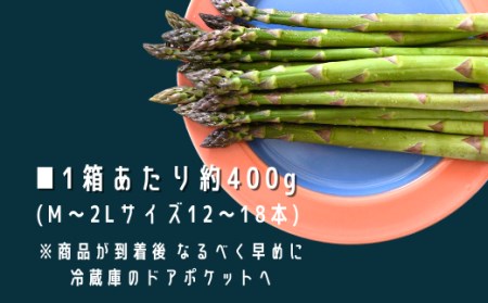 令和６年産！ 幻のアスパラ ラスノーブルHAKOIRI「畑発・冷蔵庫のドアポケット行」×1箱　墫乃字[009-25]