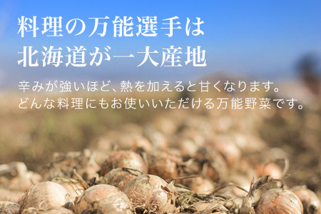 玉ねぎ【令和8年産予約受付！】玉ねぎ 5kg 北海道 美瑛選果 [006-26]