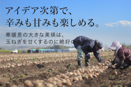 玉ねぎ 北海道産  10kg【令和8年産予約受付】 美瑛選果 玉ねぎ  [010-210]