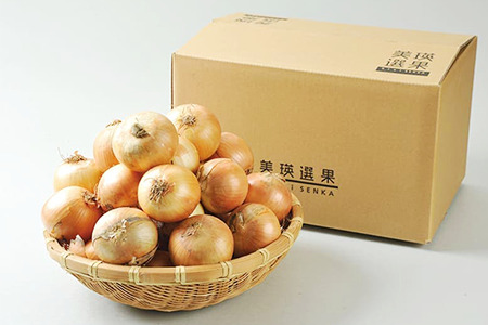 玉ねぎ 北海道産  10kg【令和8年産予約受付】 美瑛選果 玉ねぎ  [010-210]