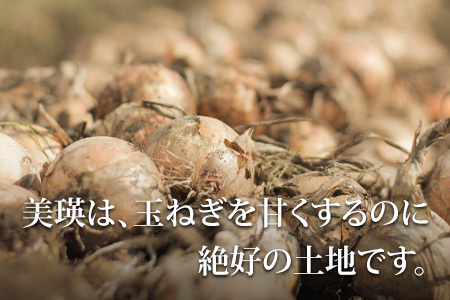 じゃがいも 玉ねぎ【令和8年産予約受付！】10kg  北海道 芋 いも イモ たまねぎ [012-190]