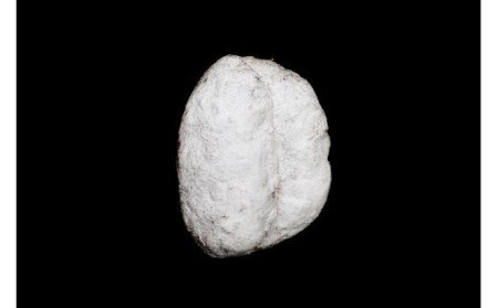 シュトーレン 自家焙煎珈琲店Gosh　シュトーレン 送料無料 [015-123]