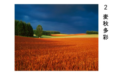 前田真三　額付き写真（黒額）　キャビネサイズ[040-19]