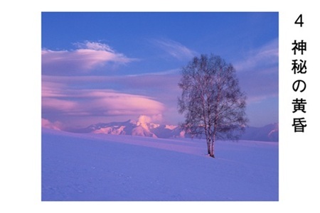 前田真三　額付き写真（黒額）　キャビネサイズ[040-19]