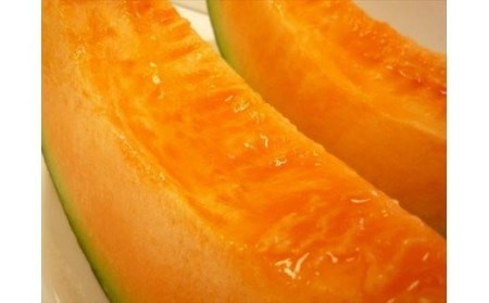 野菜定期便 5回 定期便  ≪令和8年産予約受付≫ [085-03]