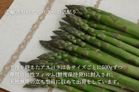 【令和８年産予約受付！】黒木農場　グリーンアスパラ（M～Lサイズ）1kg | アスパラ [012-186]
