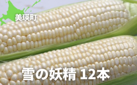 とうもろこし（雪の妖精）12本【令和７年産予約受付！】 黒木農場| とうもろこし 北海道 とうもろこし 美瑛町 とうもろこし産地直送 とうもろこし 送料無料 とうもろこし おいしい とうもろこし [014-76]