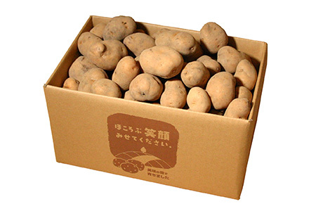 インカのめざめ 5kg【令和８年産予約受付】 じゃがいも  [010-207]