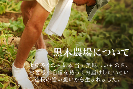 じゃがいも【令和８年産予約受付！】黒木農場 じゃがいも3種セット 男爵 キタアカリ メークイン 食べ比べ  [011-61]