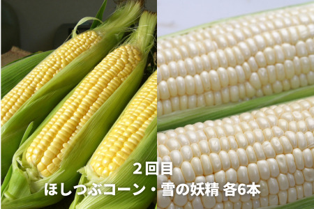 野菜 定期便 3回 健康な野菜生活 【令和8年産予約受付】[029-15]