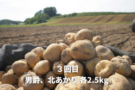 野菜 定期便 3回 健康な野菜生活 【令和8年産予約受付】[029-15]