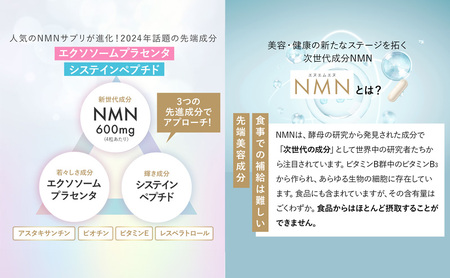 ハルクファクター NMN 20400mg 大容量 34日分 エイジングケア サプリメント 抗酸化 ビタミンC サプリ レスベラトロール プラセンタ アスタキサンチン マルチビタミン 栄養機能食品 国産 人気 美容 