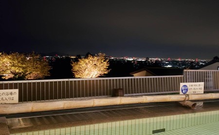 岐阜　湯華の郷　食事付入浴券ペア お食事券 チケット 温泉利用券 