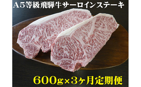 【3ヶ月定期便】A5等級 飛騨牛 サーロインステーキ用 600g
