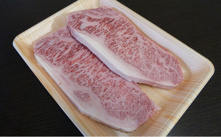 【3ヶ月定期便】A5等級 飛騨牛 サーロインステーキ用 600g
